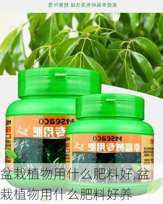 盆栽植物用什么肥料好,盆栽植物用什么肥料好养