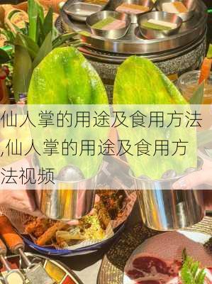 仙人掌的用途及食用方法,仙人掌的用途及食用方法视频