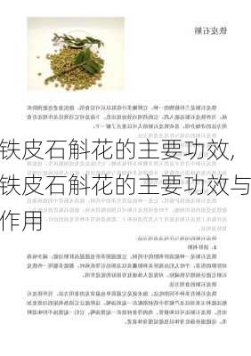 铁皮石斛花的主要功效,铁皮石斛花的主要功效与作用