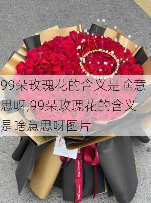 99朵玫瑰花的含义是啥意思呀,99朵玫瑰花的含义是啥意思呀图片