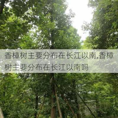 香樟树主要分布在长江以南,香樟树主要分布在长江以南吗