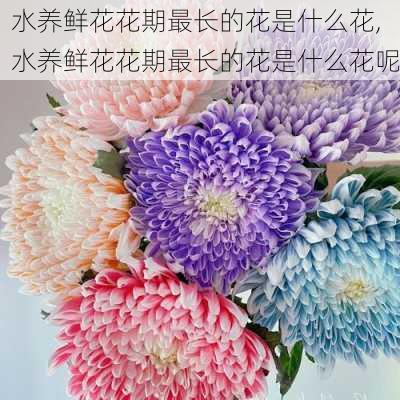 水养鲜花花期最长的花是什么花,水养鲜花花期最长的花是什么花呢