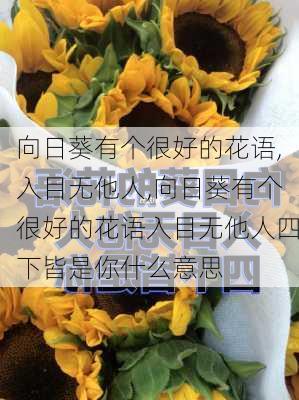 向日葵有个很好的花语,入目无他人,向日葵有个很好的花语入目无他人四下皆是你什么意思