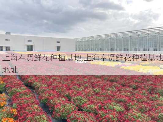 上海奉贤鲜花种植基地,上海奉贤鲜花种植基地地址