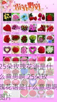 25朵玫瑰花语是什么意思啊,25朵玫瑰花语是什么意思啊图片