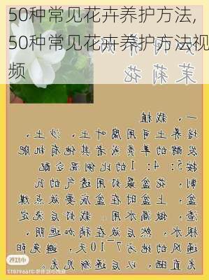 50种常见花卉养护方法,50种常见花卉养护方法视频