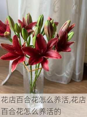 花店百合花怎么养活,花店百合花怎么养活的