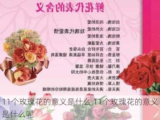 11个玫瑰花的意义是什么,11个玫瑰花的意义是什么呢