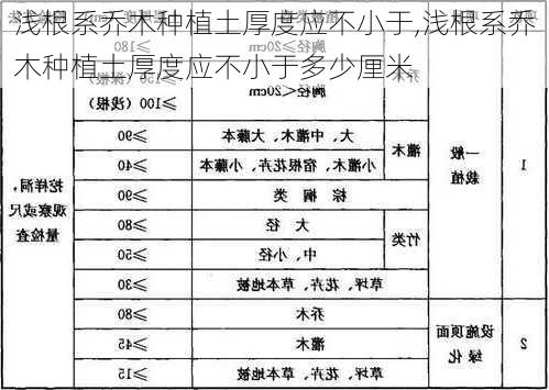 浅根系乔木种植土厚度应不小于,浅根系乔木种植土厚度应不小于多少厘米