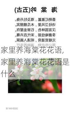 家里养海棠花花语,家里养海棠花花语是什么