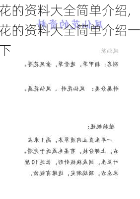 花的资料大全简单介绍,花的资料大全简单介绍一下