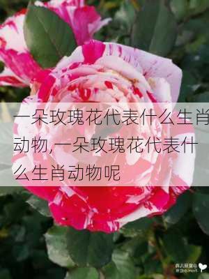 一朵玫瑰花代表什么生肖动物,一朵玫瑰花代表什么生肖动物呢