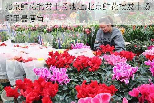 北京鲜花批发市场地址,北京鲜花批发市场哪里最便宜