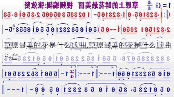 草原最美的花是什么歌曲,草原最美的花是什么歌曲抖音