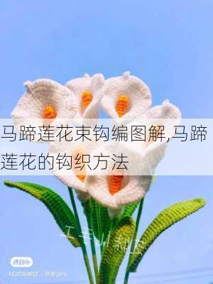 马蹄莲花束钩编图解,马蹄莲花的钩织方法