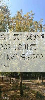 金叶复叶槭价格表2021,金叶复叶槭价格表2021年