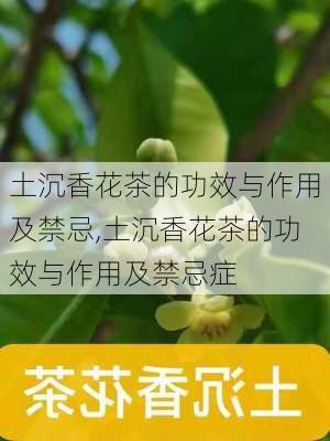 土沉香花茶的功效与作用及禁忌,土沉香花茶的功效与作用及禁忌症