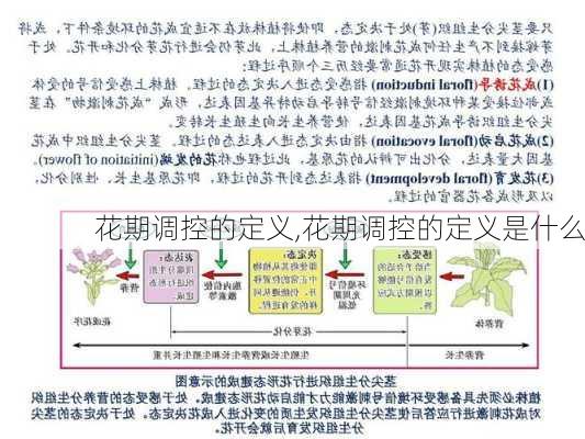 花期调控的定义,花期调控的定义是什么