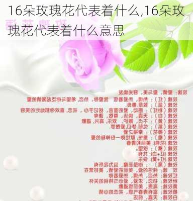 16朵玫瑰花代表着什么,16朵玫瑰花代表着什么意思