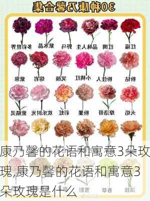 康乃馨的花语和寓意3朵玫瑰,康乃馨的花语和寓意3朵玫瑰是什么