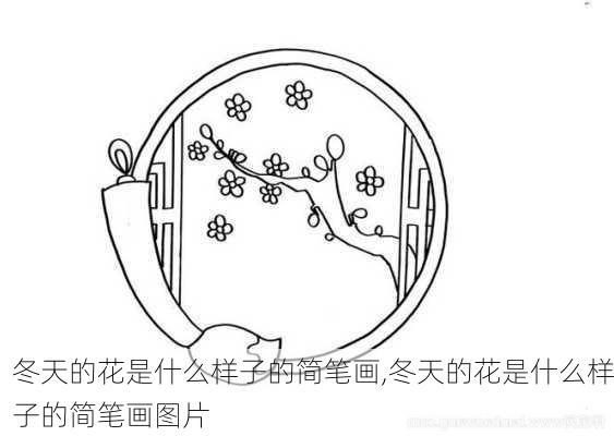 冬天的花是什么样子的简笔画,冬天的花是什么样子的简笔画图片