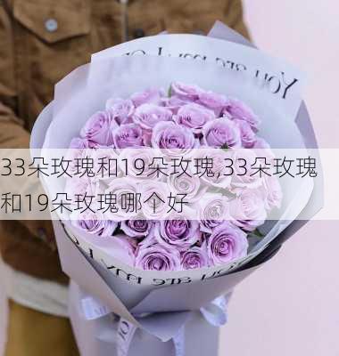 33朵玫瑰和19朵玫瑰,33朵玫瑰和19朵玫瑰哪个好