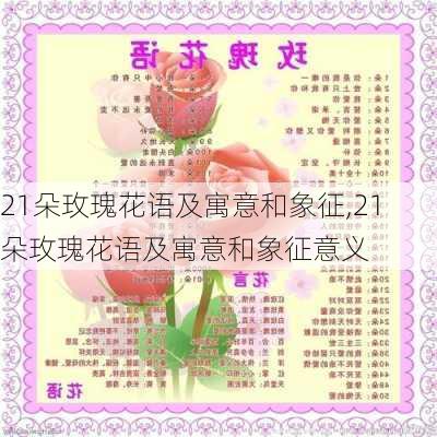 21朵玫瑰花语及寓意和象征,21朵玫瑰花语及寓意和象征意义