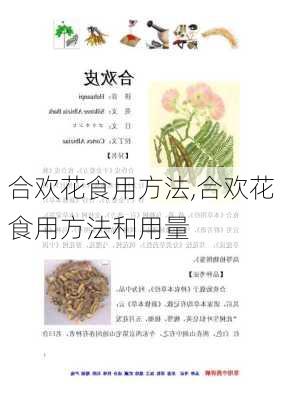 合欢花食用方法,合欢花食用方法和用量