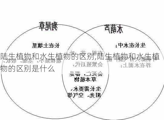 陆生植物和水生植物的区别,陆生植物和水生植物的区别是什么