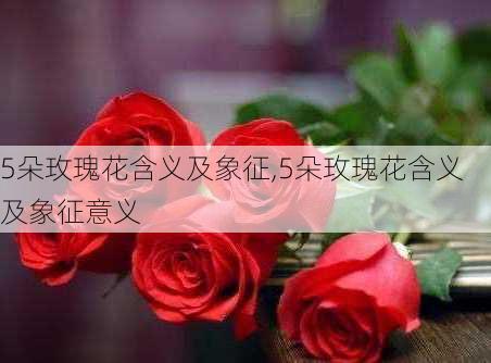 5朵玫瑰花含义及象征,5朵玫瑰花含义及象征意义