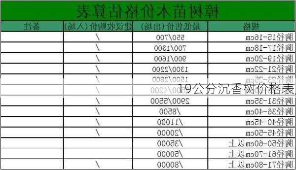 19公分沉香树价格表,