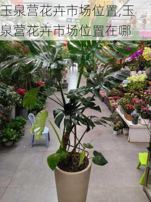 玉泉营花卉市场位置,玉泉营花卉市场位置在哪