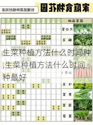 生菜种植方法什么时间种,生菜种植方法什么时间种最好