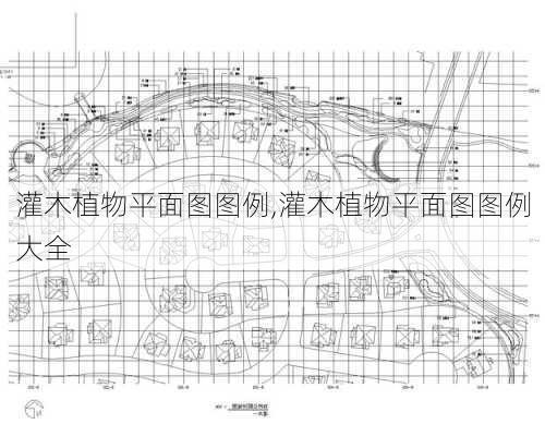 灌木植物平面图图例,灌木植物平面图图例大全