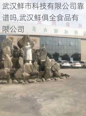 武汉鲜市科技有限公司靠谱吗,武汉鲜俱全食品有限公司