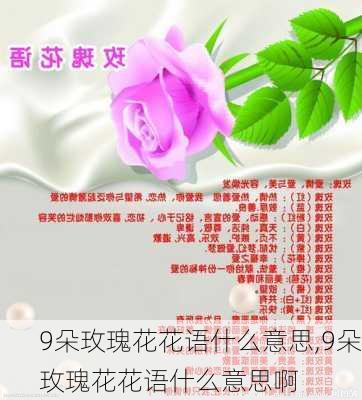 9朵玫瑰花花语什么意思,9朵玫瑰花花语什么意思啊