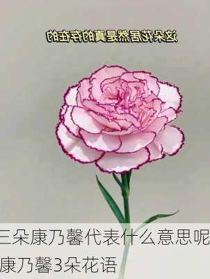 三朵康乃馨代表什么意思呢,康乃馨3朵花语