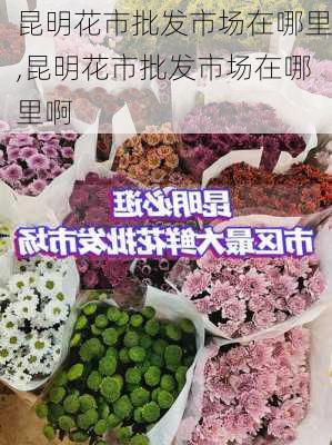 昆明花市批发市场在哪里,昆明花市批发市场在哪里啊