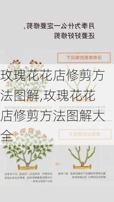 玫瑰花花店修剪方法图解,玫瑰花花店修剪方法图解大全