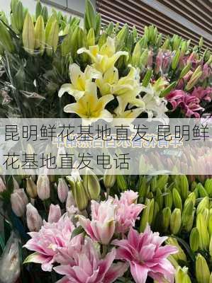 昆明鲜花基地直发,昆明鲜花基地直发电话