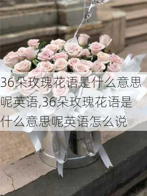 36朵玫瑰花语是什么意思呢英语,36朵玫瑰花语是什么意思呢英语怎么说