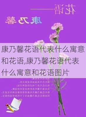 康乃馨花语代表什么寓意和花语,康乃馨花语代表什么寓意和花语图片