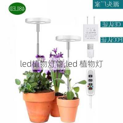 led植物灯管,led 植物灯