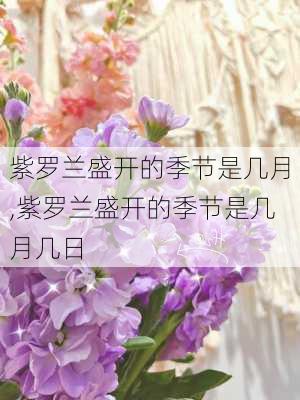 紫罗兰盛开的季节是几月,紫罗兰盛开的季节是几月几日