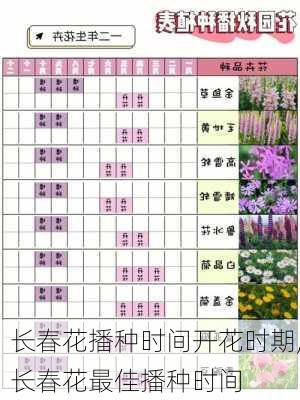 长春花播种时间开花时期,长春花最佳播种时间