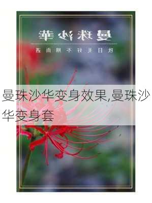 曼珠沙华变身效果,曼珠沙华变身套