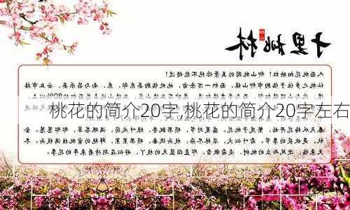 桃花的简介20字,桃花的简介20字左右