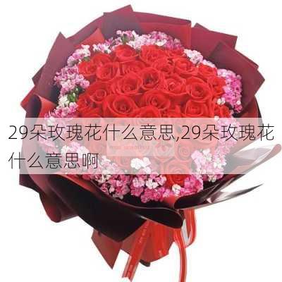 29朵玫瑰花什么意思,29朵玫瑰花什么意思啊