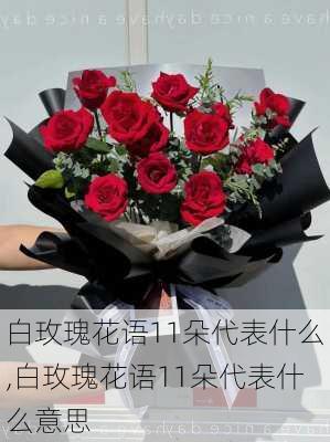 白玫瑰花语11朵代表什么,白玫瑰花语11朵代表什么意思