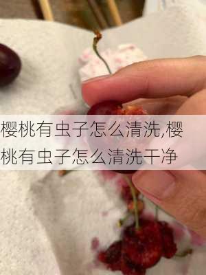 樱桃有虫子怎么清洗,樱桃有虫子怎么清洗干净